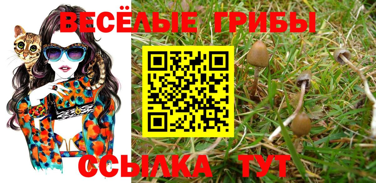 Галлюциногенные грибы MAGIC MUSHROOMS  Вход с VPN  Нальчик 